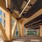 Guia rápido do mass timber na arquitetura